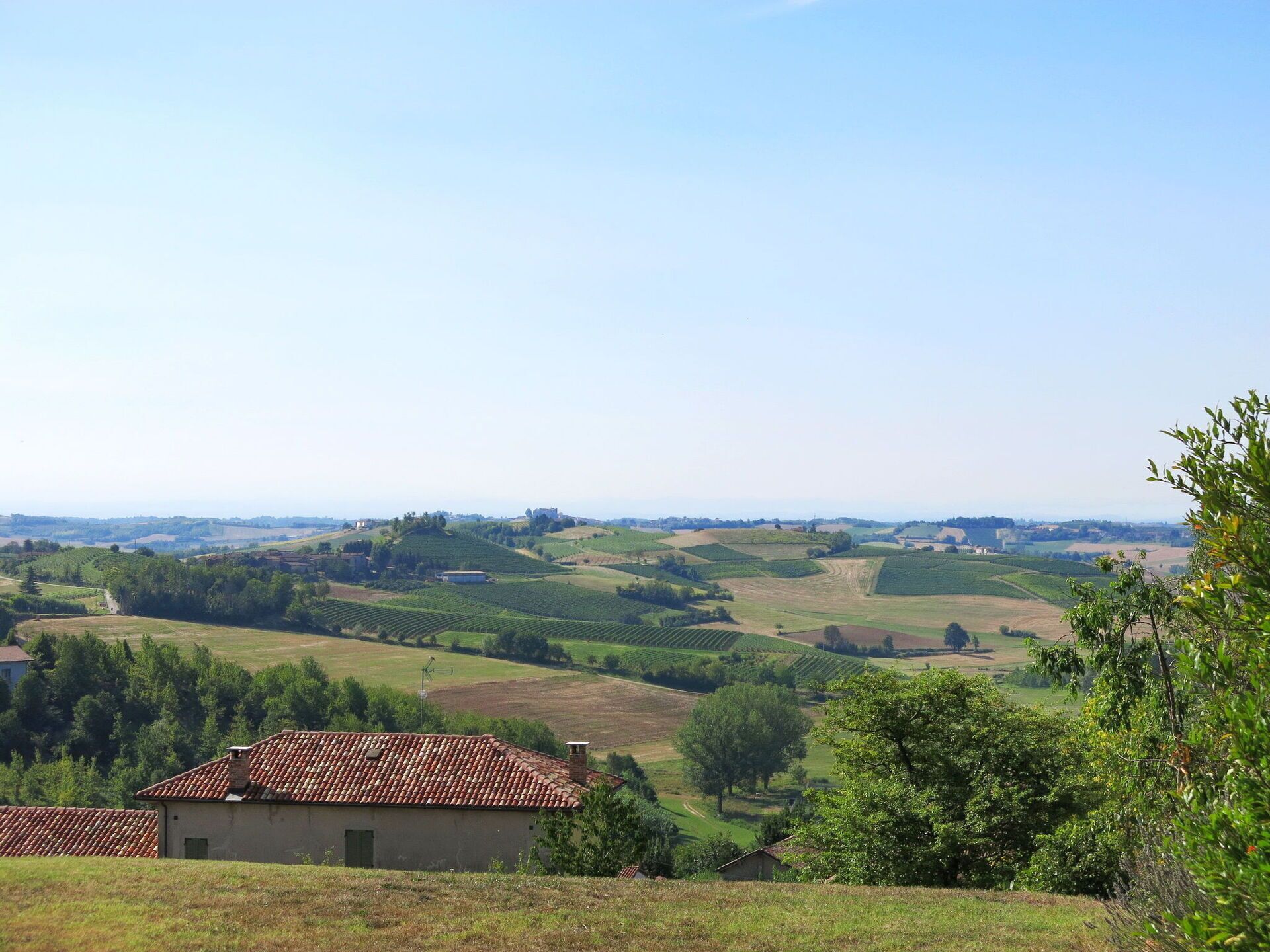 Ländliche Landschaft mit sanften Hügeln, Weinbergen und einem kleinen Gebäude mit Ziegeldach.
