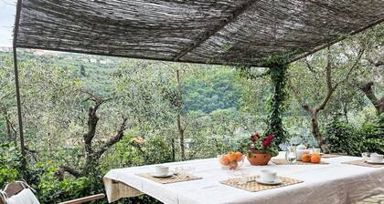 Cosy apartment for 5 guests with WIFI, terrace and pets allowed