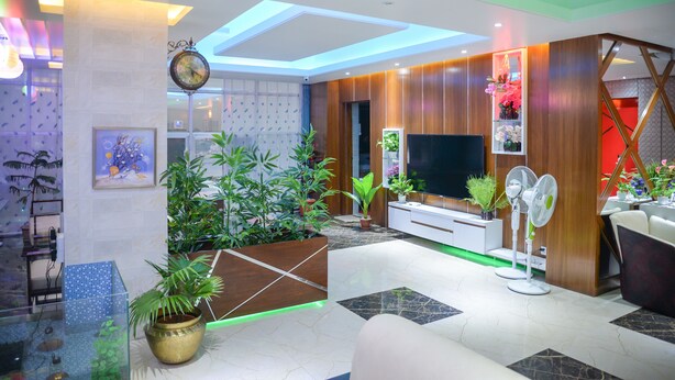 A modern living room with a TV, wooden cabinets, and potted plants. - Hotel Victory Abashik Cumilla (Comilla)