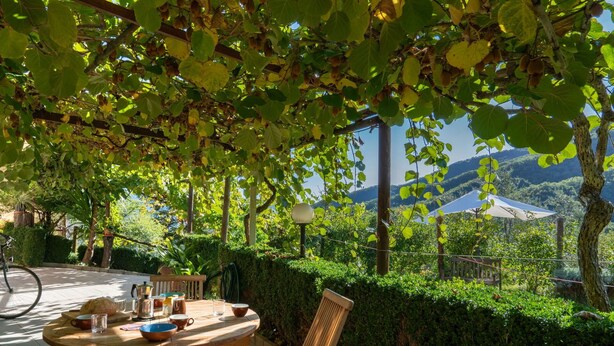 A wooden table and chairs under a pergola with green leaves, overlooking a landscaped garden and a view of hills. - Beautiful private villa with A/C, private pool, WIFI, TV, patio, pets allowed and panoramic view (Borgomaro)