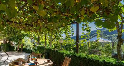 Wonderful private villa with private pool, WIFI, A/C, TV, patio, pets allowed and panoramic view