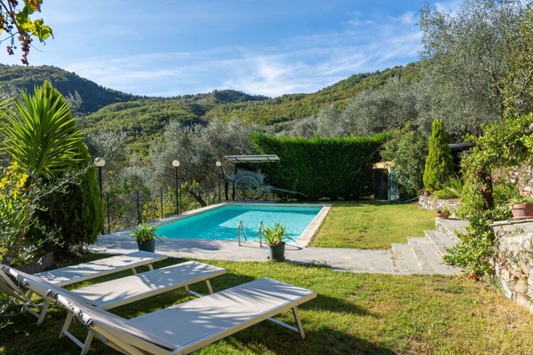 Pflanze, Wasser, Himmel, Wolke, Eigentum, Pflanzengemeinschaft, Schwimmbad, Natur, Azurblau, Natürliche Landschaft