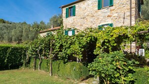 A stone building with green shutters, surrounded by lush greenery and vines. - Beautiful private villa with A/C, private pool, WIFI, TV, patio, pets allowed and panoramic view (Borgomaro)
