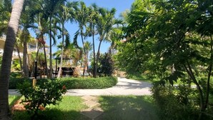 Un exuberante jardín con palmeras y un sendero que lleva a un edificio con balcones.