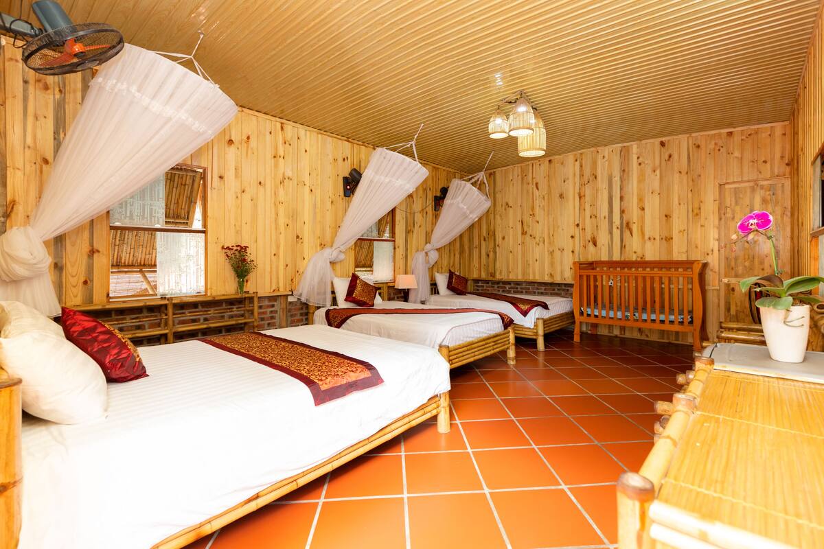 A room with three beds, a wooden bench, and a potted plant.