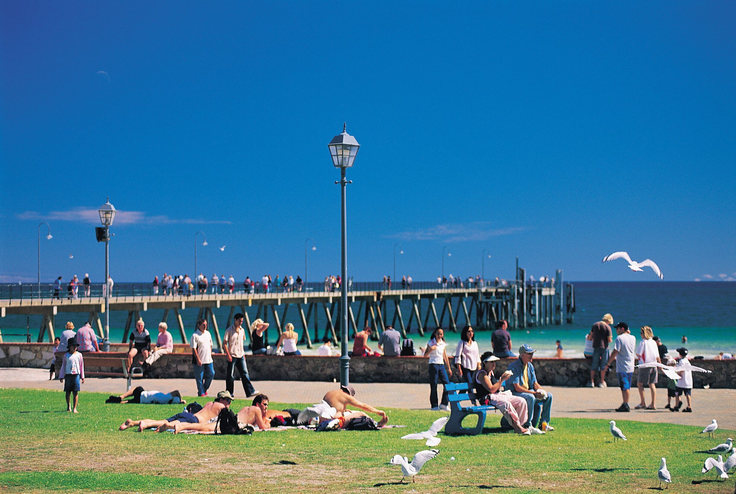 Glenelg Holiday Apartments-The Pier. Direct Beach Front. Free Parking. — image 3