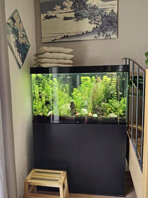 Interior - Relaxation in Provence ☀️ (Aubignan)