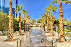 A pathway lined with palm trees leading to a building with a glass facade.