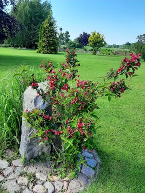 صورة غير مصنفة، 4 من 31، زرّ