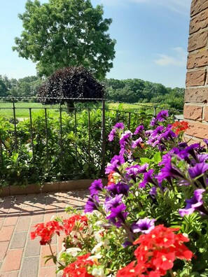 صورة غير مصنفة، 2 من 31، زرّ