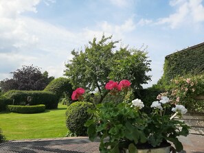 صورة غير مصنفة، 5 من 31، زرّ