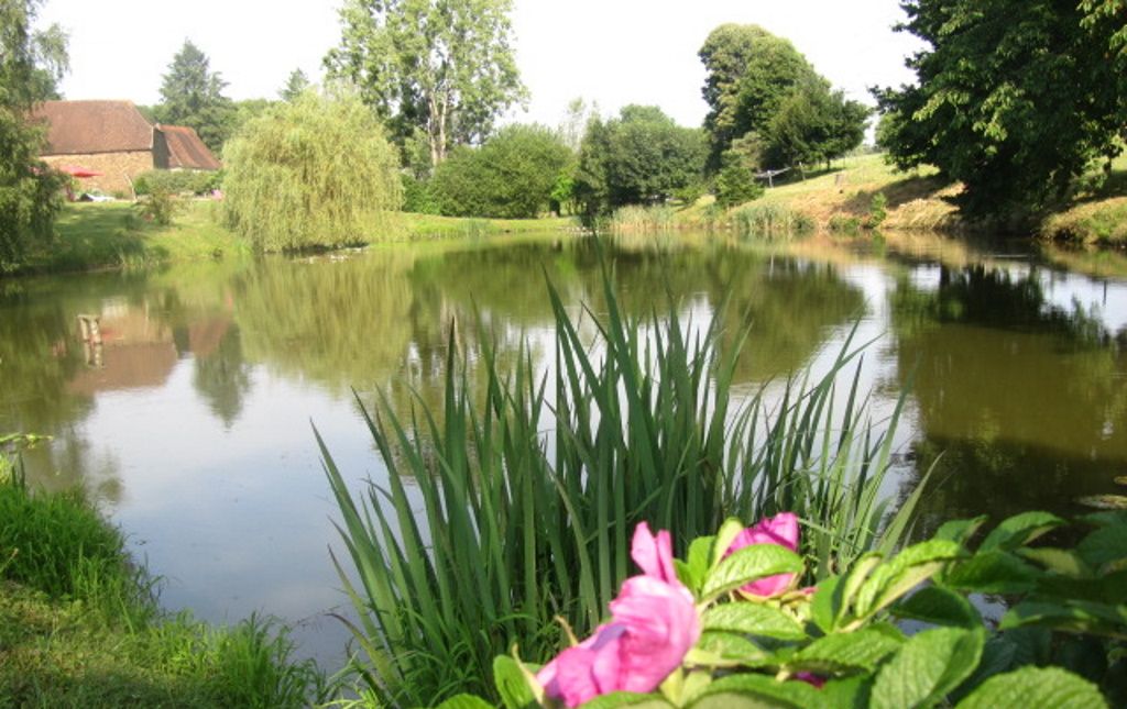 Ein Teich mit umgebender Bepflanzung und einem Gebäude im Hintergrund.
