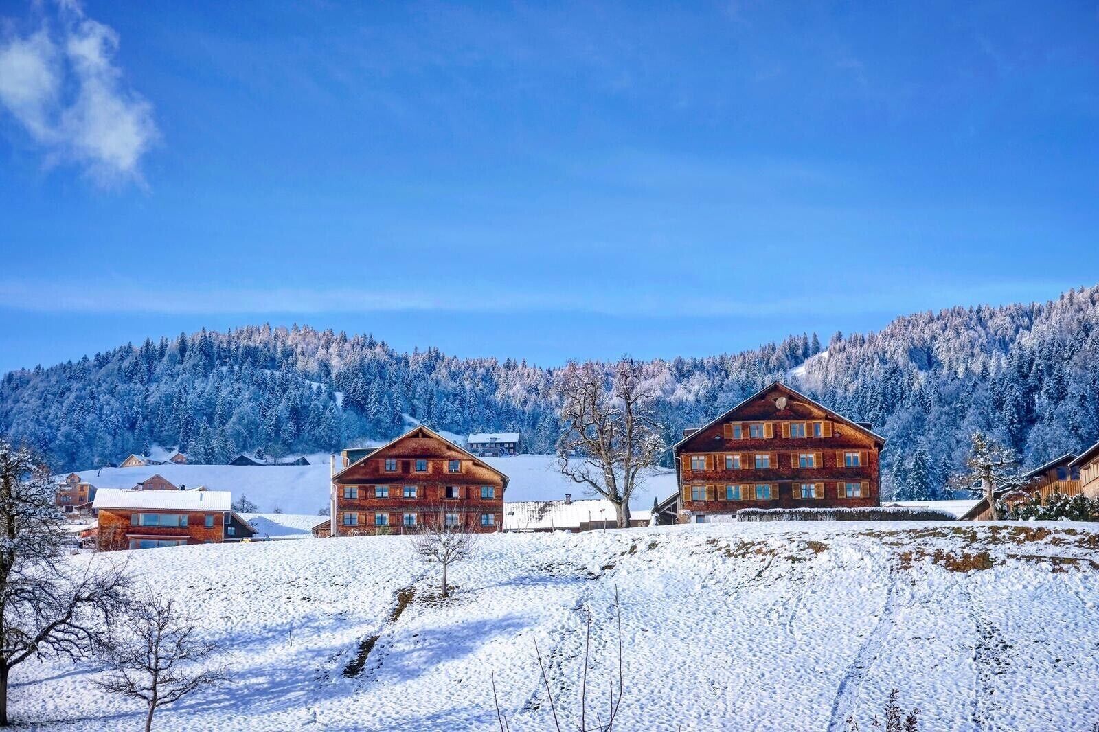 A wooden lodge with multiple windows and a sloped roof, surrounded by snow-covered hills and trees.