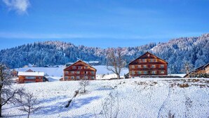 A wooden lodge with multiple windows and a sloped roof, surrounded by snow-covered hills and trees. - Rosenhaus in Schwarzenberg (Schwarzenberg)