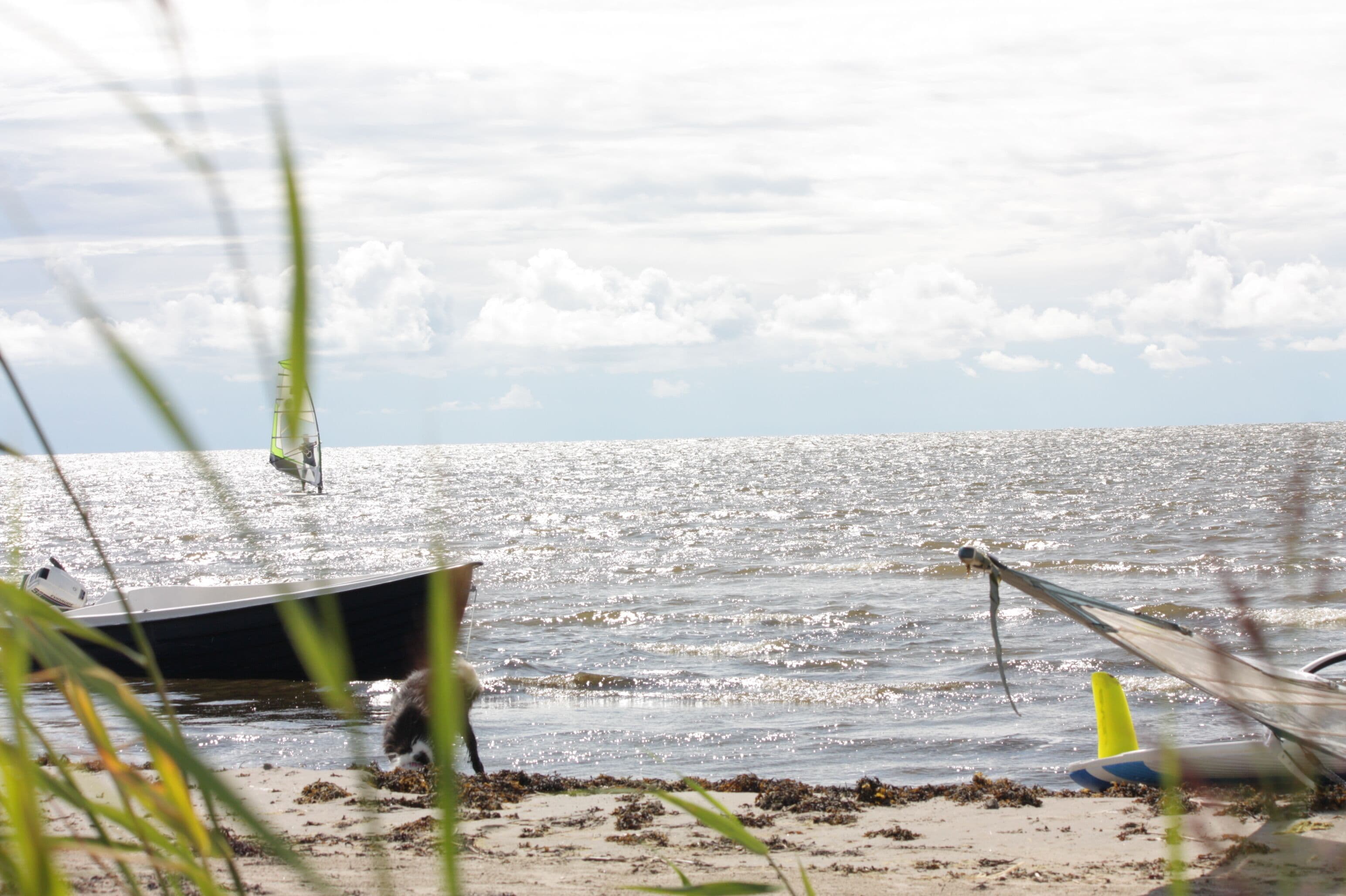 Plage, serviettes de plage
