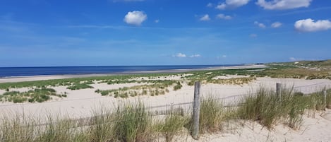 Plage à proximité, chaises longues