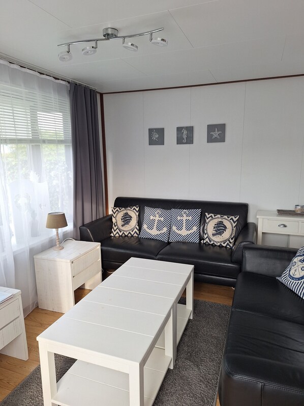 TV, fireplace, DVD player, table tennis