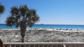 A beach with a palm tree, a fence, and a distant ship. - Island Princess 204-Updated Beachfront with FAST Internet-Free Beach Service (Fort Walton Beach)