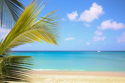 Beachfront Getaway on Perfect Beach - Chateau Monique (3 bed)