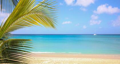 Beachfront Getaway on Perfect Beach - Chateau Monique (3 bed)