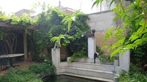 Un patio con una pequeña piscina, rodeado de exuberante vegetación y una pérgola.