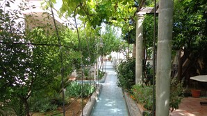 Un estrecho sendero bordeado de vegetación y columnas, que conduce a la entrada de un edificio.