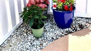 A white fence with potted plants on gravel ground.