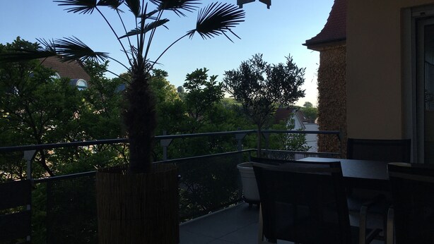 A balcony with a potted palm tree, a table, and chairs. - City holiday apartment Müllheim (Müllheim)