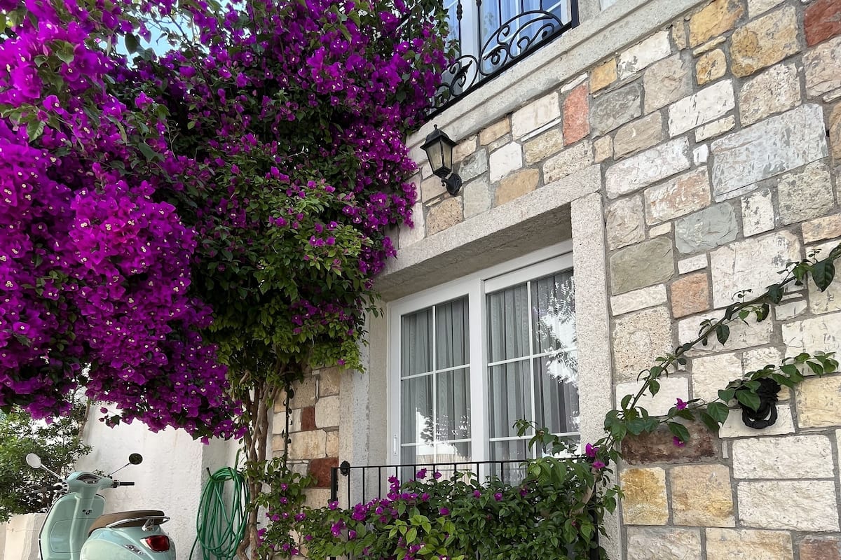 Economy-Doppelzimmer | Hochwertige Bettwaren, Minibar, individuell dekoriert