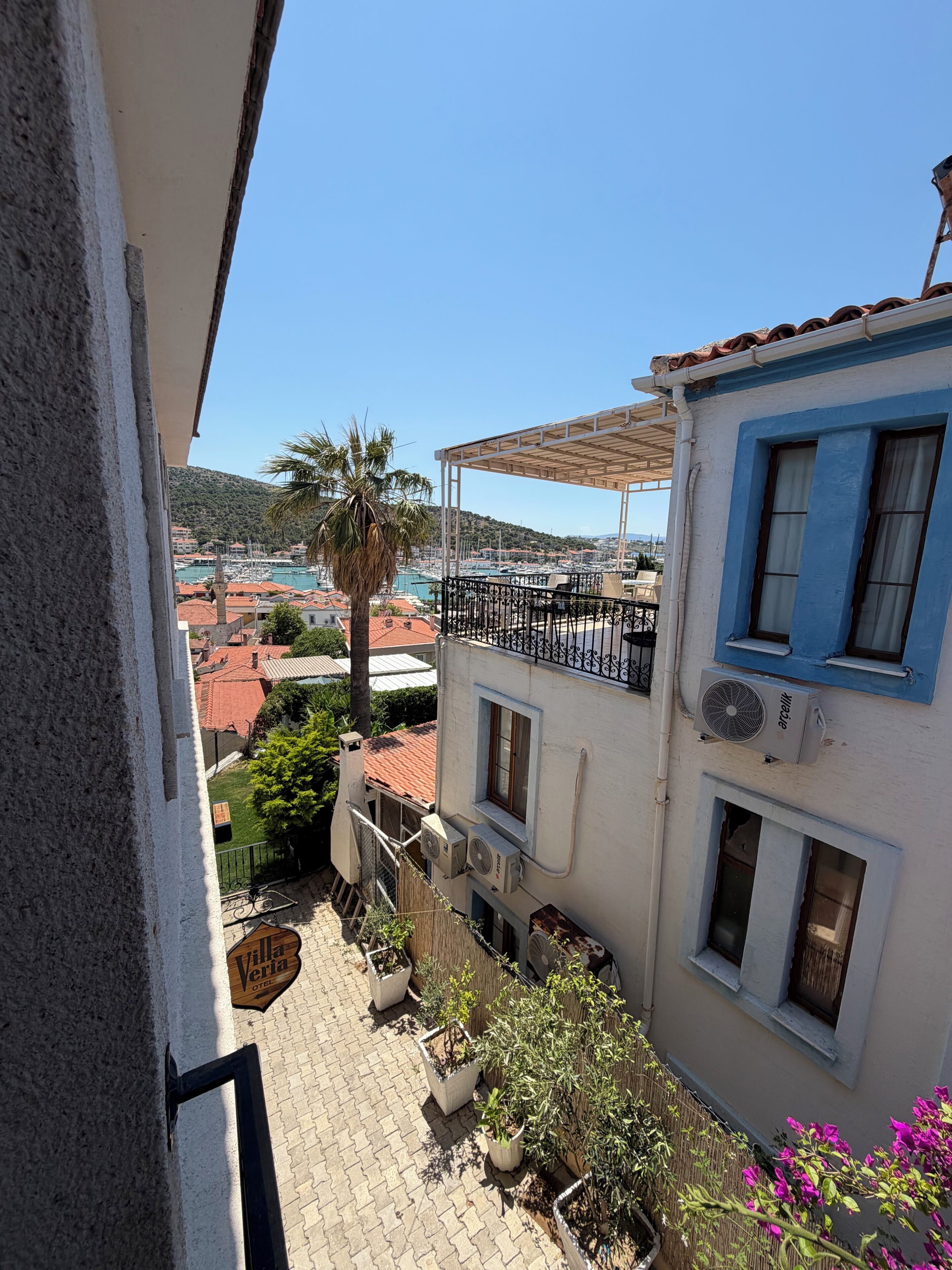 Un balcón con vista a un puerto deportivo y edificios, una palmera y plantas en macetas.