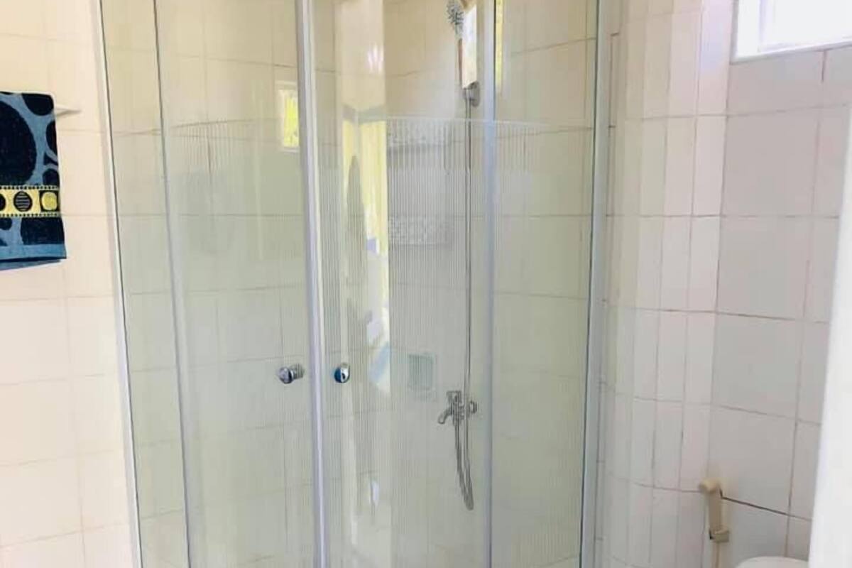 A corner shower enclosure with a glass door, a white toilet, and a blue-tiled floor.
