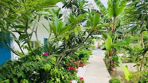 A pathway flanked by lush greenery and flowering plants, leading to a building with a white exterior and blue accents. - Sweet Water Resort (Zamboanguita)