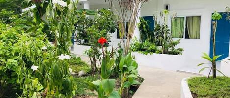 Un sendero conduce a un edificio blanco con puerta azul, rodeado de abundante vegetación y plantas diversas.