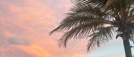 Espreguiçadeiras, toalhas de praia