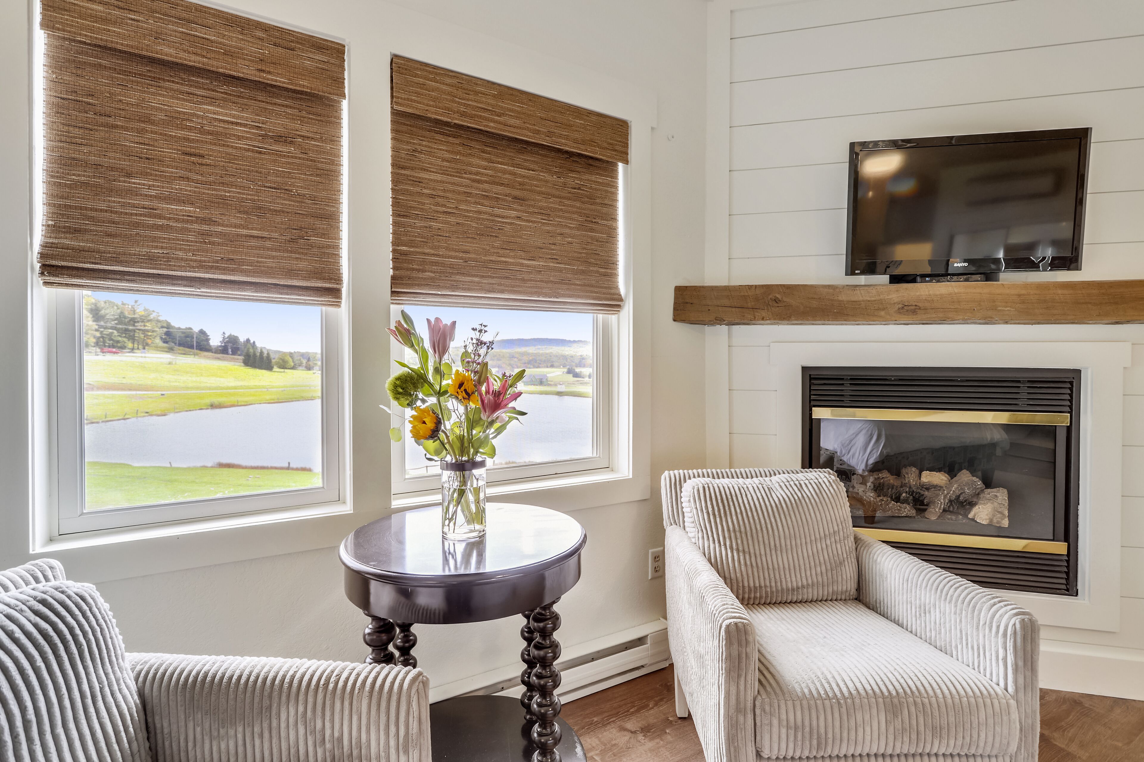 Smart TV, fireplace, books, stereo