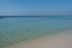 Nära stranden