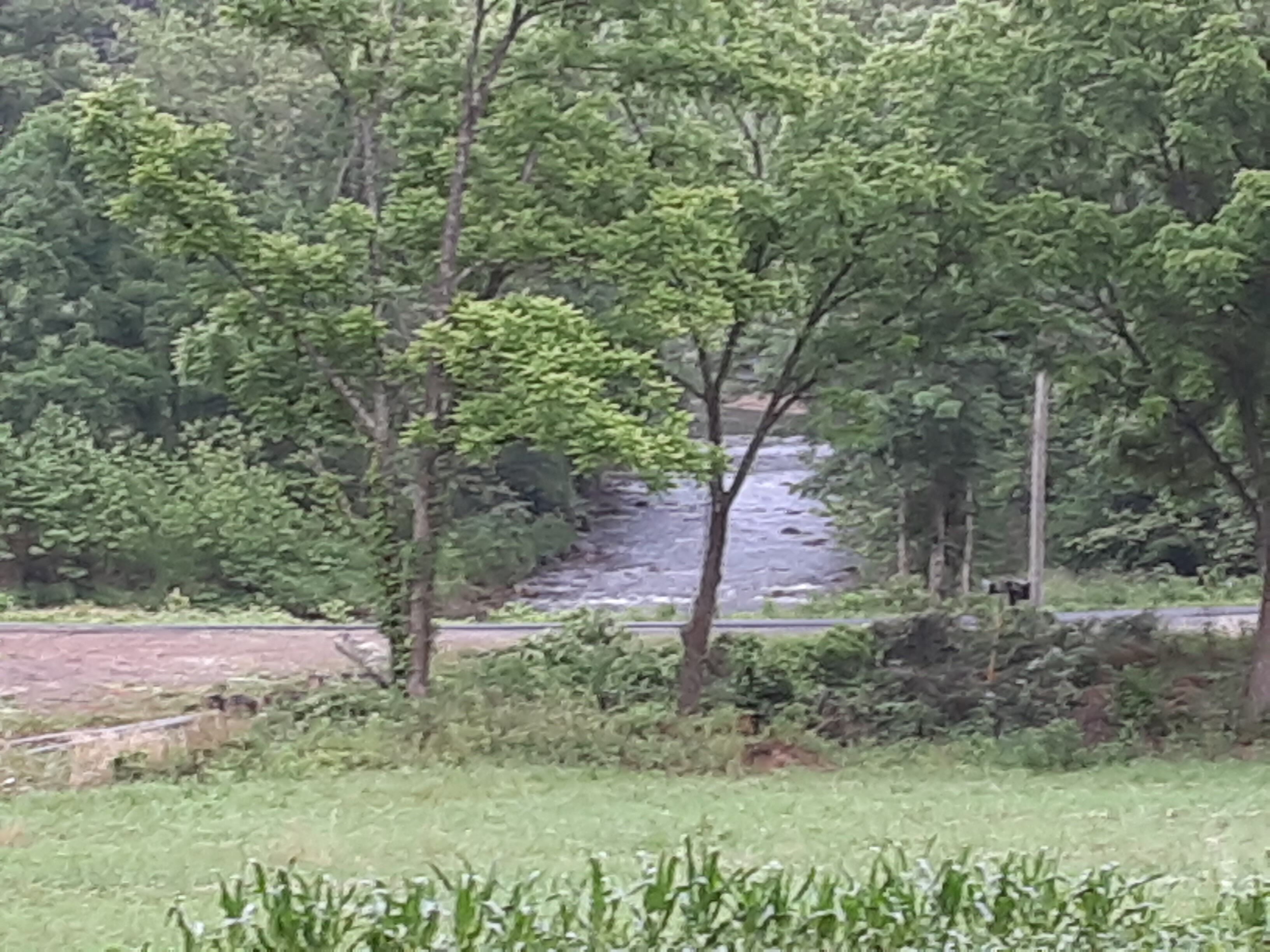 Enjoy beautiful Elk River!