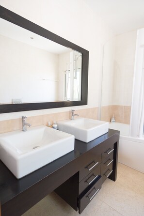 Combined shower/tub, jetted tub, hair dryer, bidet