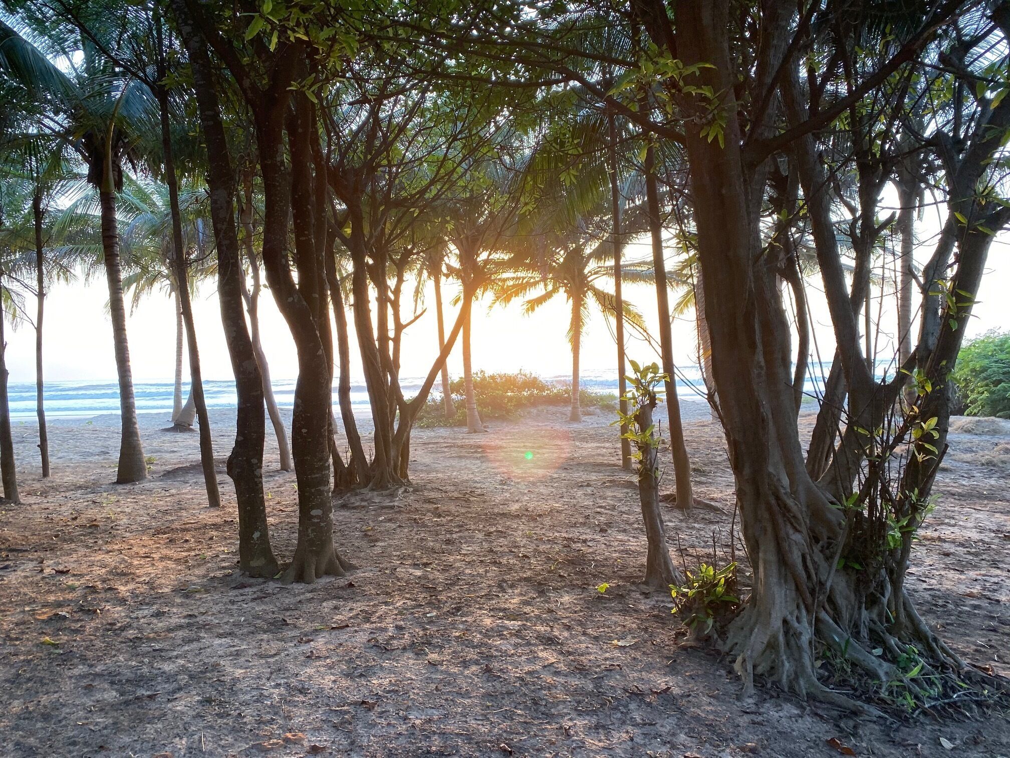 Ubicación a pie de playa, tumbonas y toallas de playa