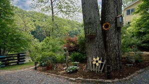 Un espace jardin agrémenté d’un banc en bois, d’une nichoir et d’une couronne décorative accrochée à un arbre.