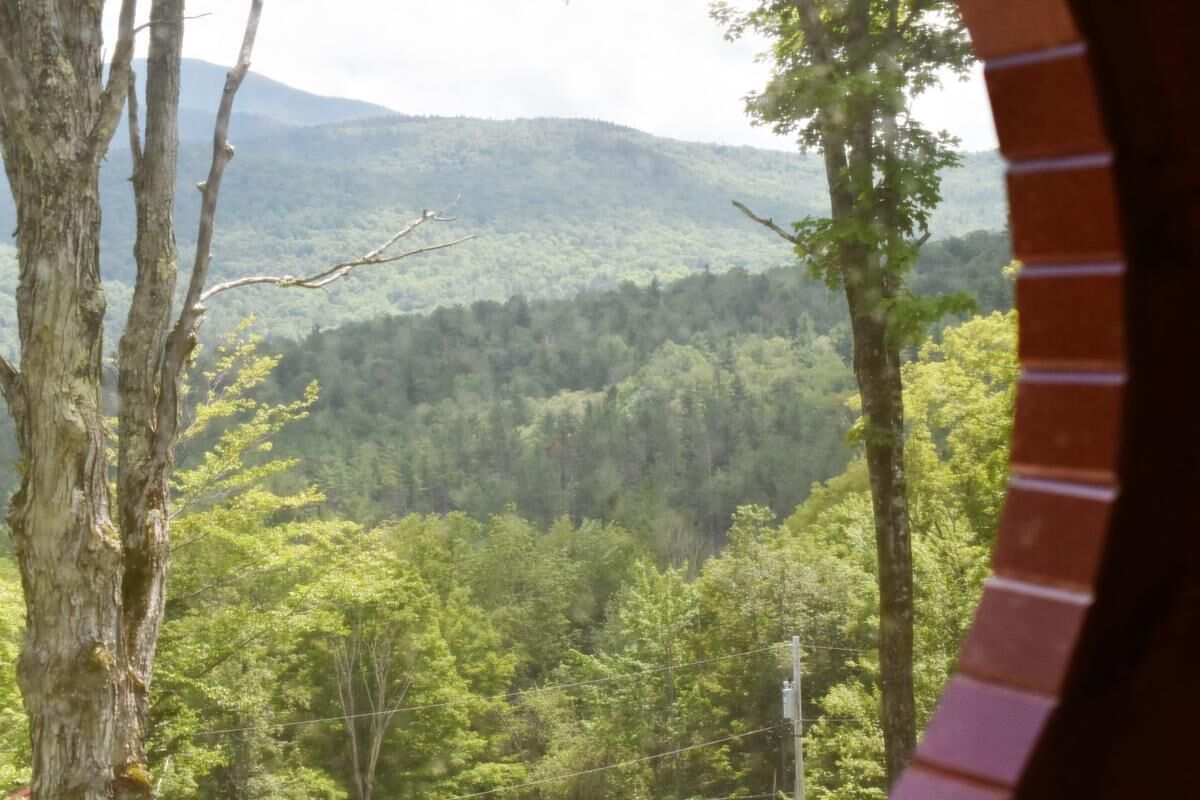 A view of a mountainous landscape with dense forest and a power line.