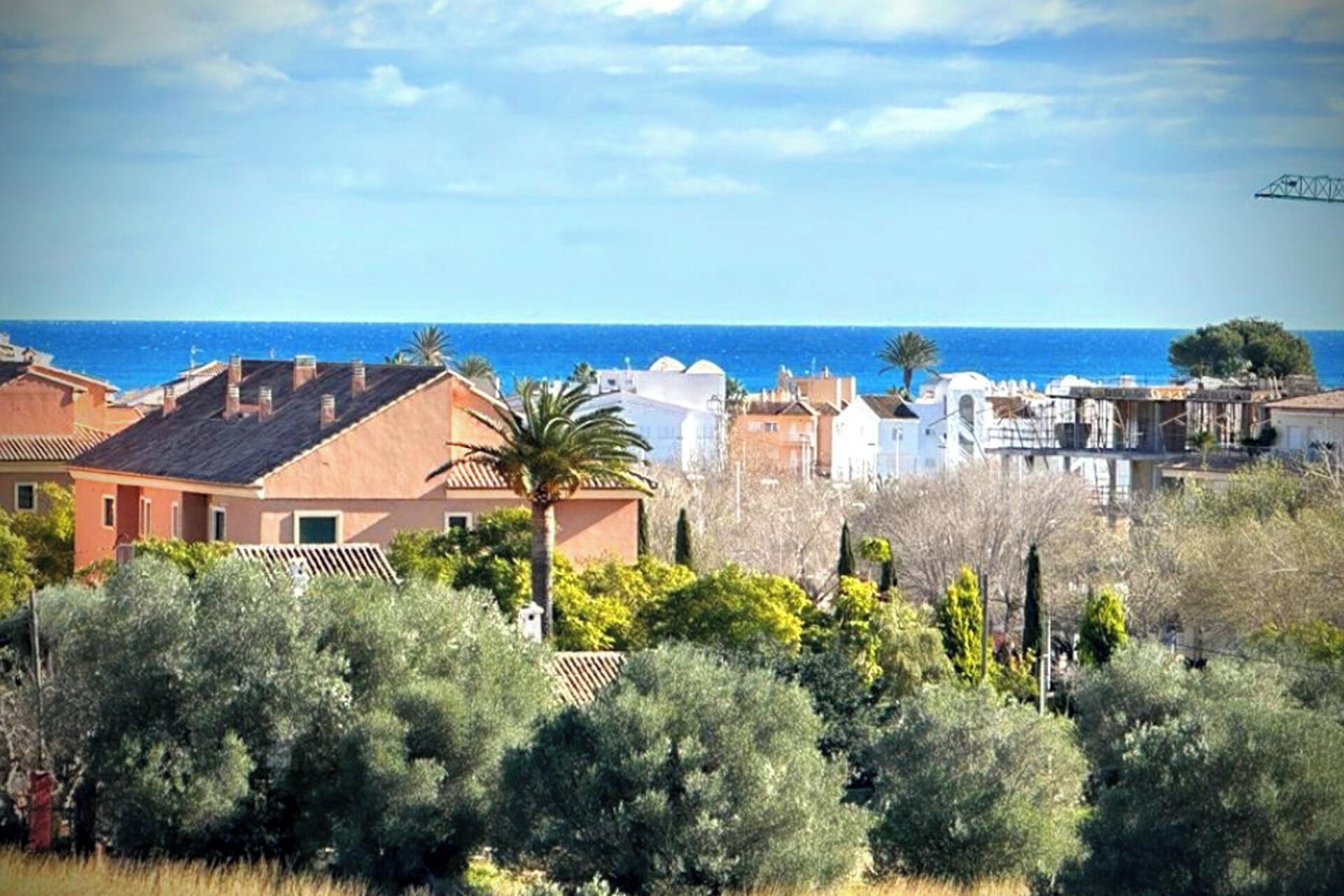 A coastal residential area with houses, a palm tree, and a view of the sea.