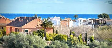 A coastal residential area with houses, a palm tree, and a view of the sea.