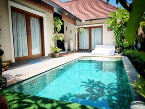 Private pool - Villa Udjung (Seminyak)