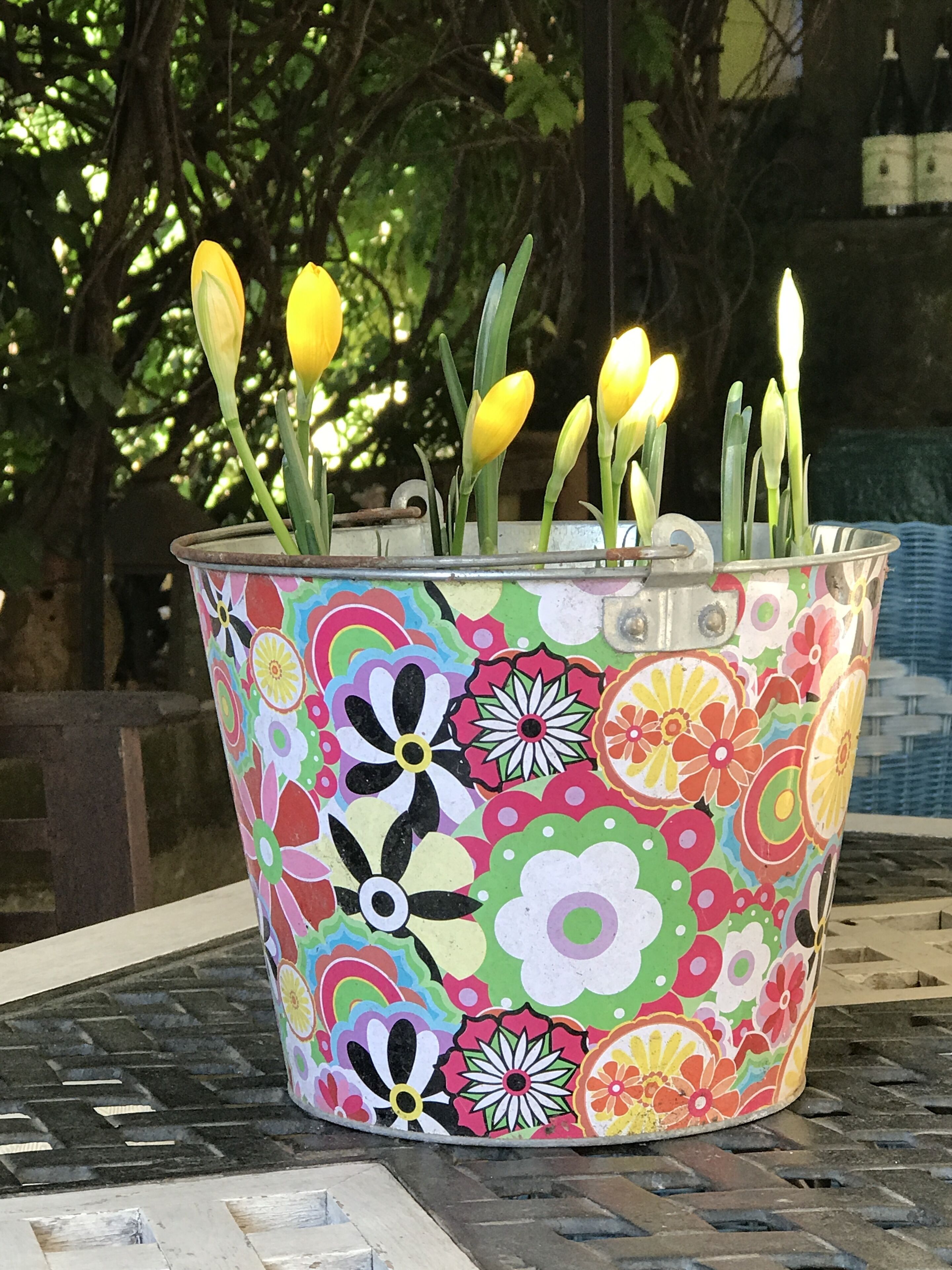 Foto - Chambres d'Hôtes et Gîtes Le Mas Mellou