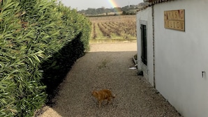 A gravel path leading to a building with a sign reading "MAS MELLOU". - Le Mas Mellou (Orange)