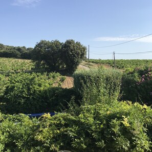 View from room - Le Mas Mellou (Orange)