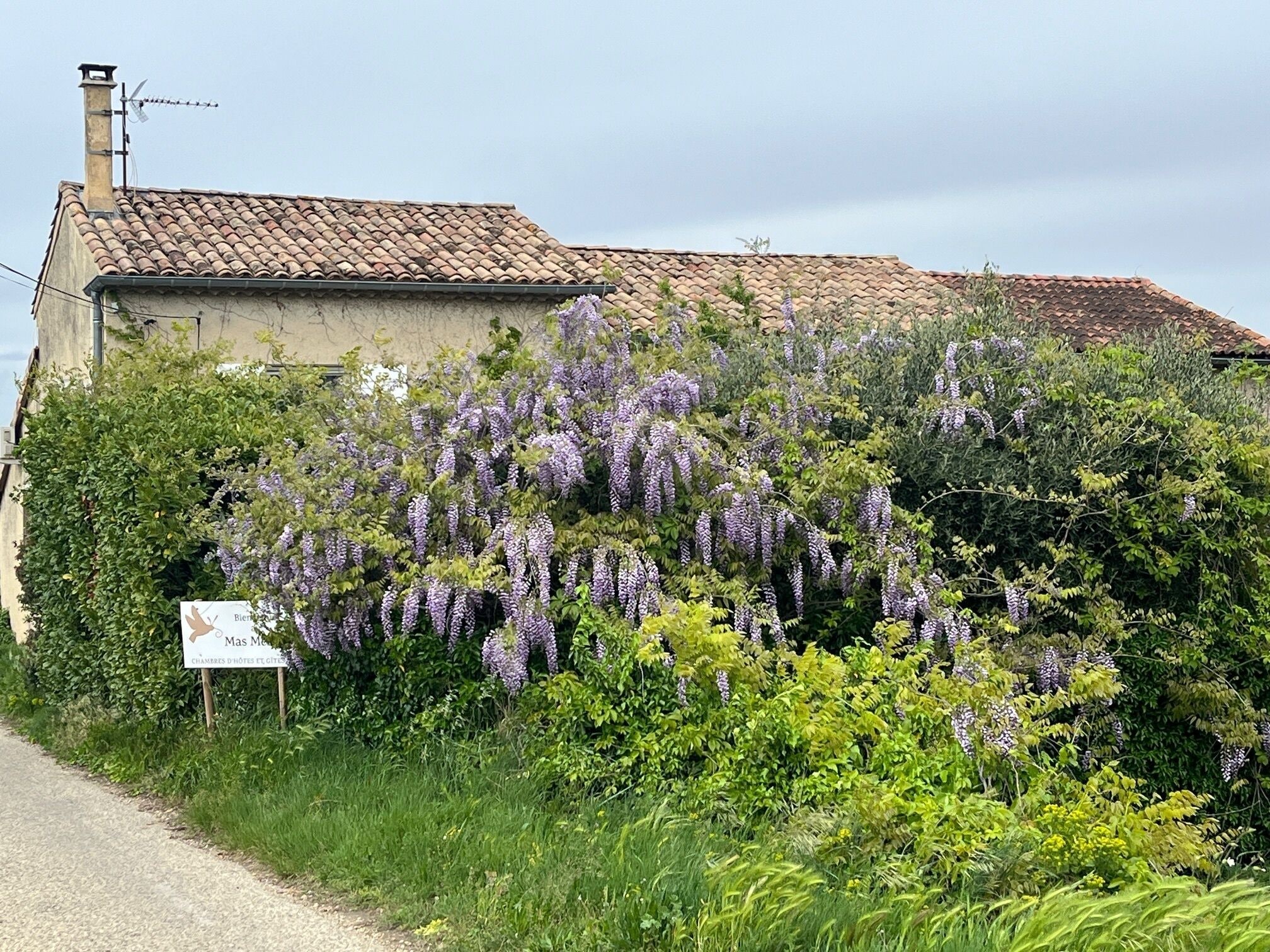 Foto - Chambres d'Hôtes et Gîtes Le Mas Mellou