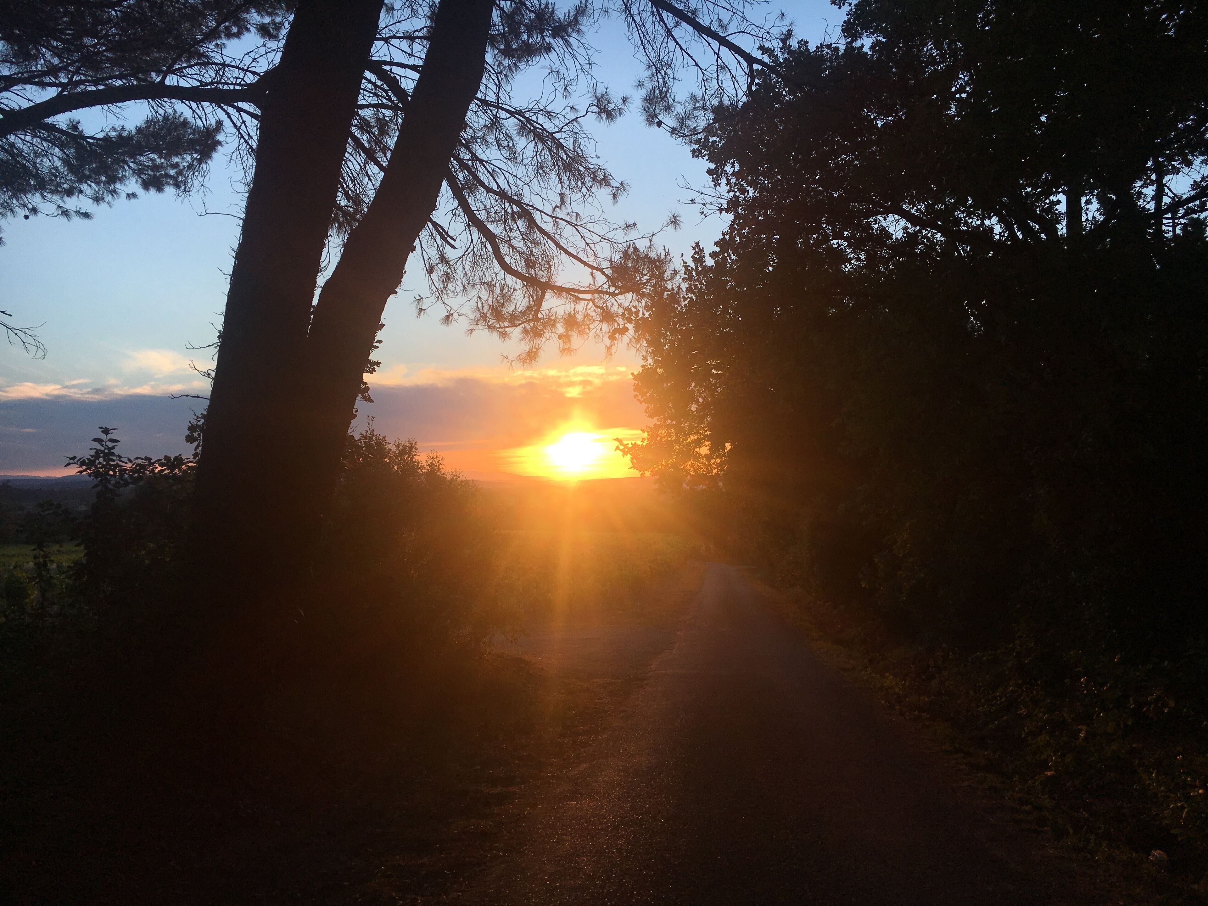 Foto - Chambres d'Hôtes et Gîtes Le Mas Mellou