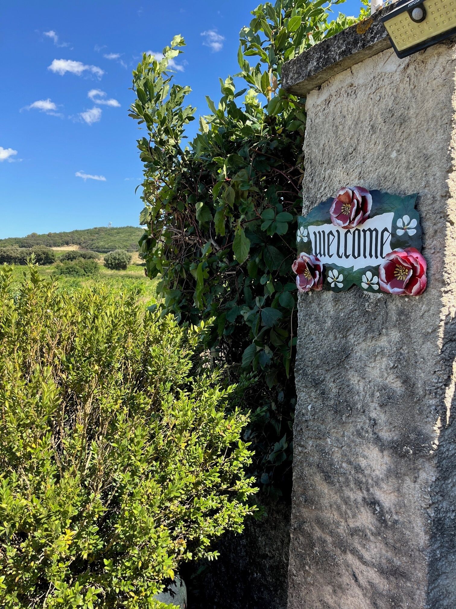 Foto - Chambres d'Hôtes et Gîtes Le Mas Mellou